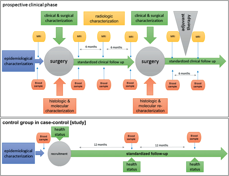 5e1e8560eb622.jpg 10-1055-s-0039-1693650-i182155oa-1.jpg