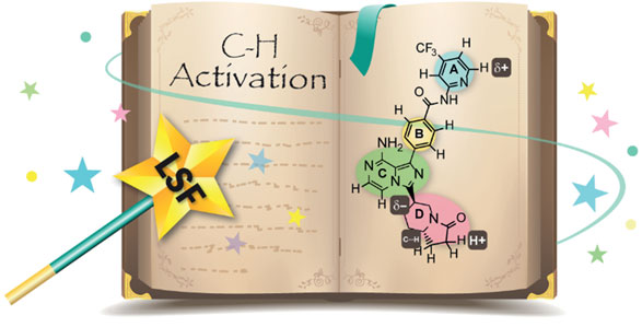 Late-Stage Functionalization.jpg