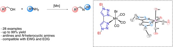 Manganese-Catalyzed Synthesis.jpg