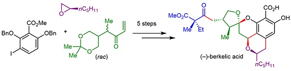 Eight-Step Asymmetric.jpg