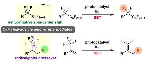 Synthesis C(sp3)–F Bond.jpg