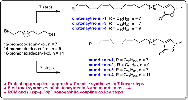 Total Synthesis of.gif