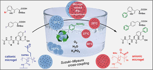 Acrylamide-Based Pd-Nanoparticle.jpg