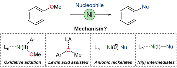 Mechanisms of the Nickel-Catalysed.gif