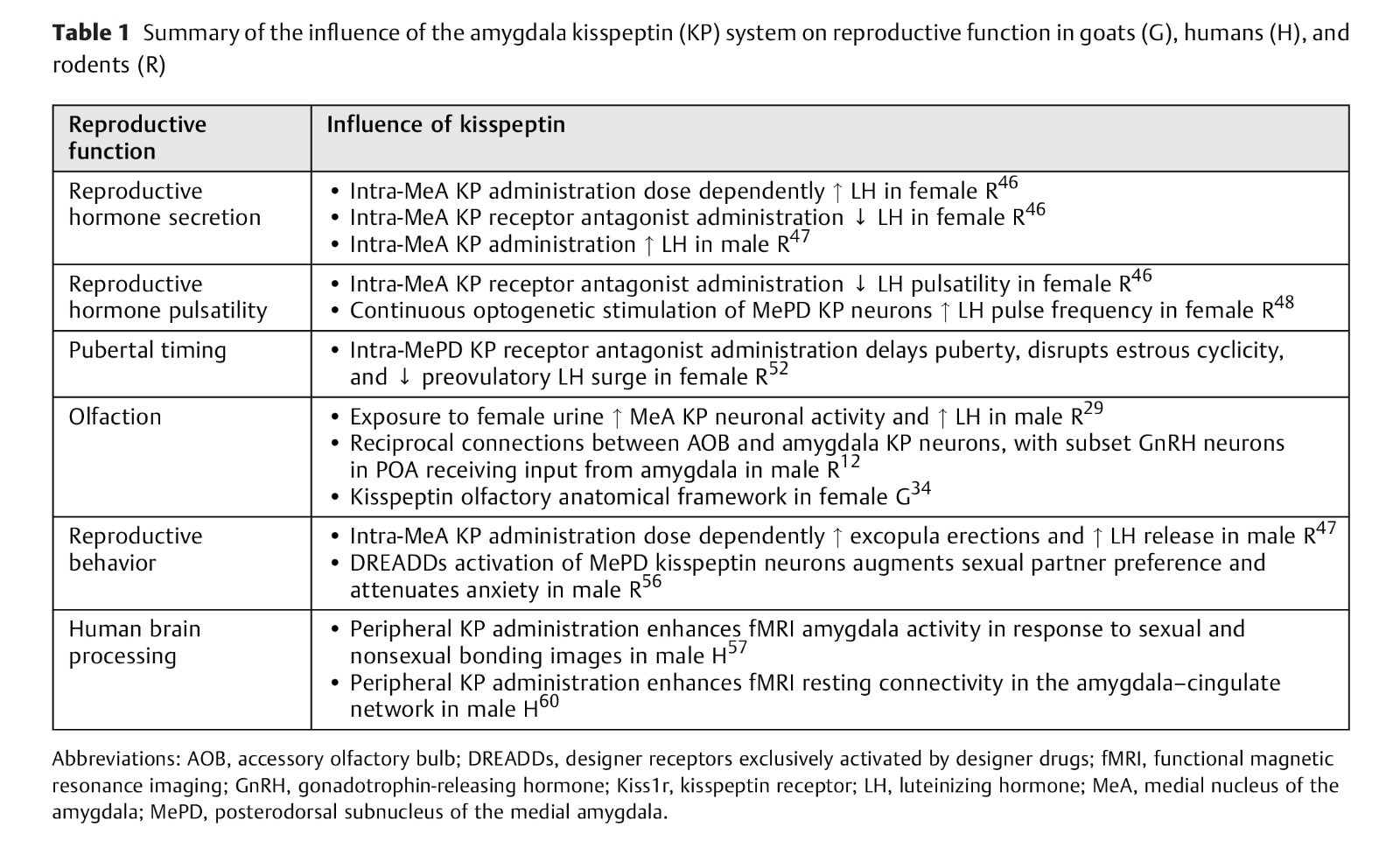 The Roles of the Amygdala-3.jpg