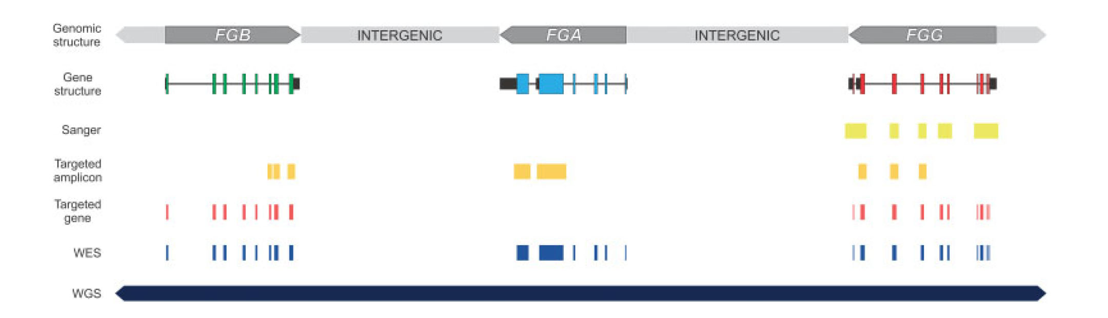 Next-Generation Sequencing-2.jpg