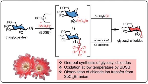 One-Pot Synthesis.gif