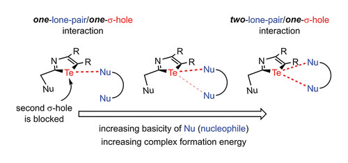 Bifurcated Chalcogen Bonds.jpg
