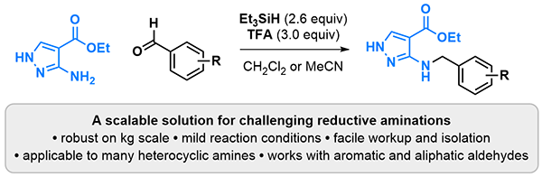 Robust and Scalable Reductive Amination.gif