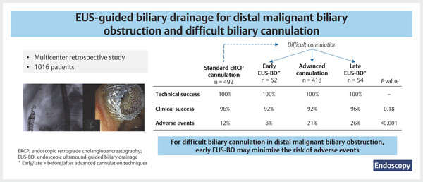 Impact of endoscopic.jpg