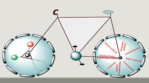 Synthesis-Synthesis of Spirocyclopropane Scaffolds 2.jpg
