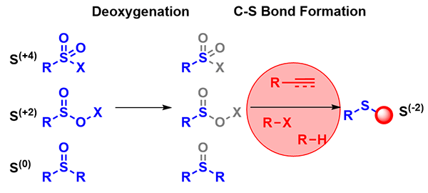 Synthesis-Recent Advances in Deoxygenative 2.gif
