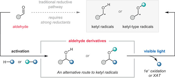 5-Recent Advances in Photoinduced.jpg