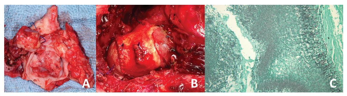 屏幕截图 2026-01-27 182440.png