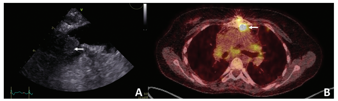 屏幕截图 2026-01-27 182415.png