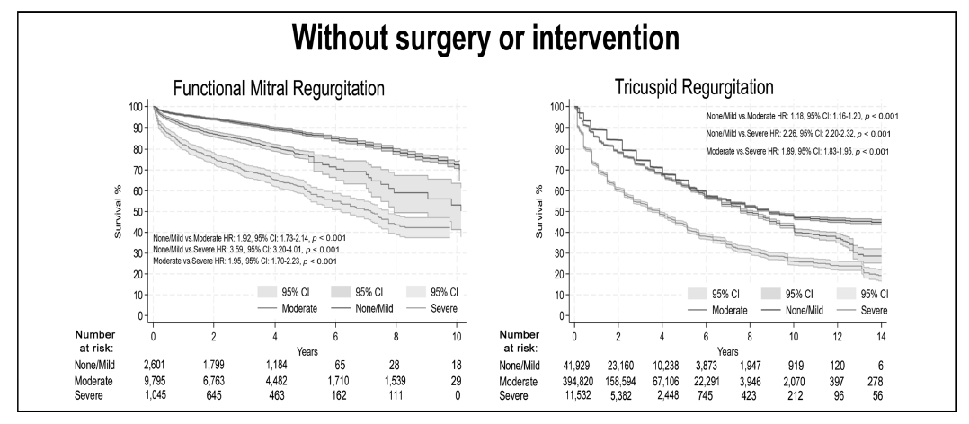 屏幕截图 2026-03-17 112624.png