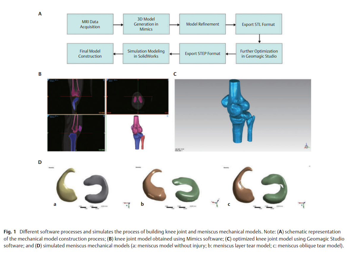 69cb3a216fa75.png Biomechanical Impact 2.png