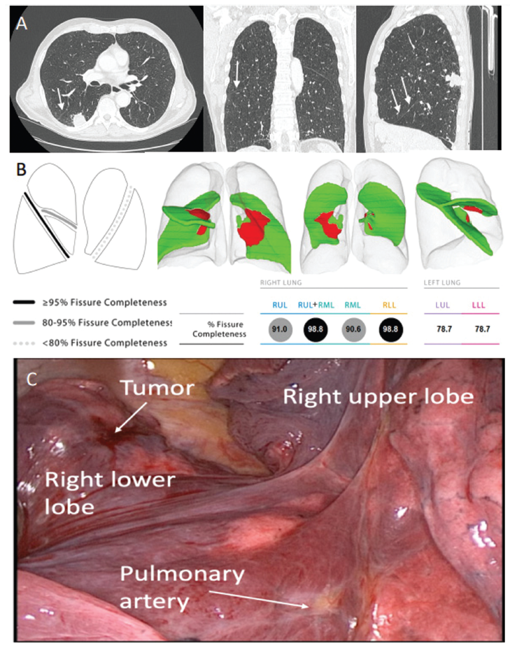 69cc7f66aa908.png 5.png