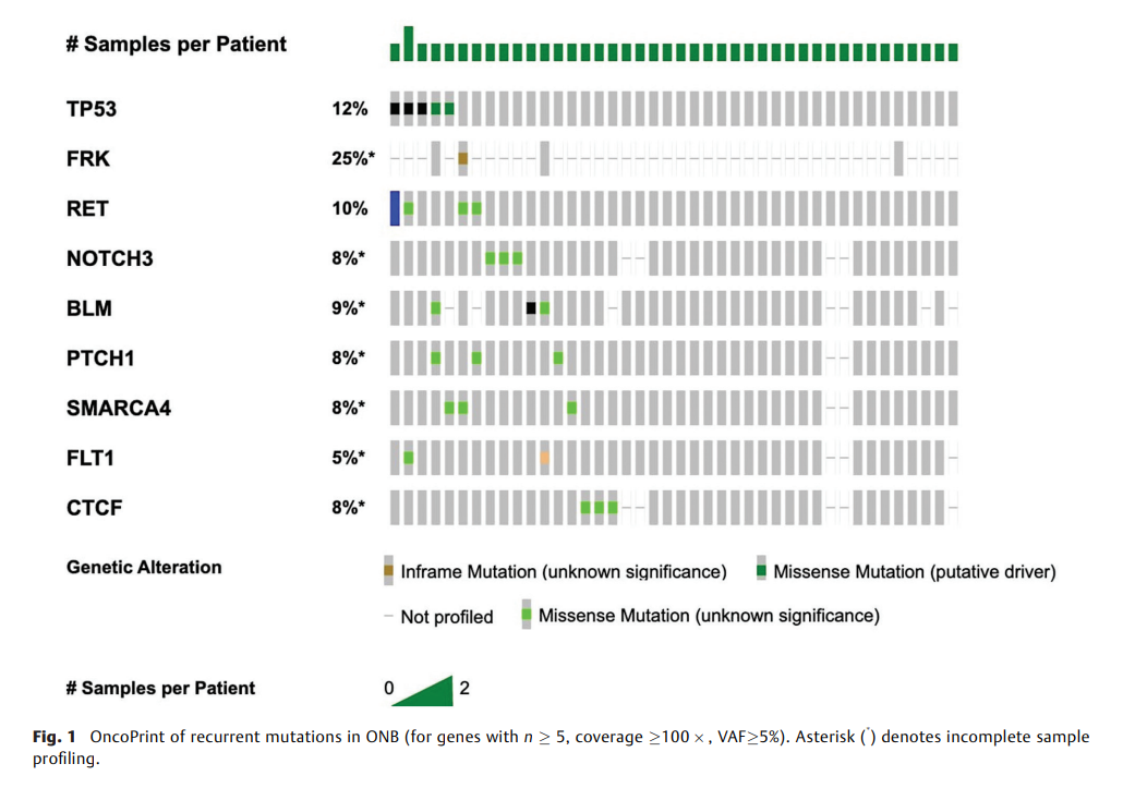 Molecular Profiling of Olfactory 2.png