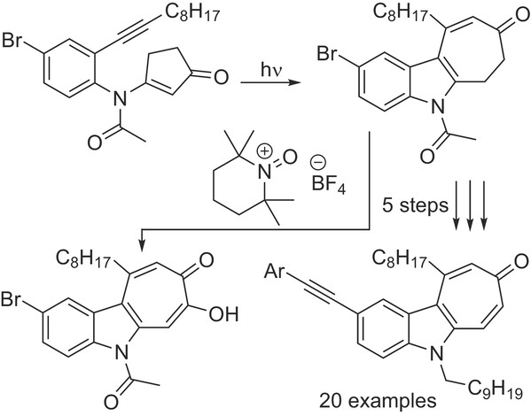 Synthesis_Synthetic Access to Indolo.jpg