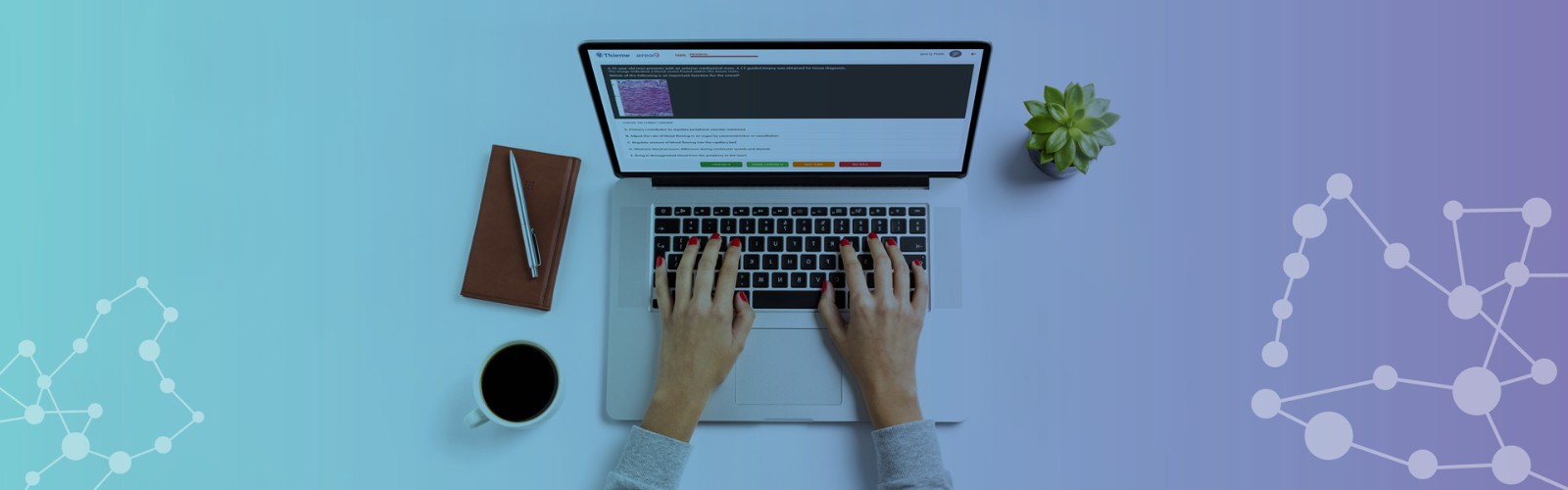 Website_Header_Device_1920x600_k1.jpg