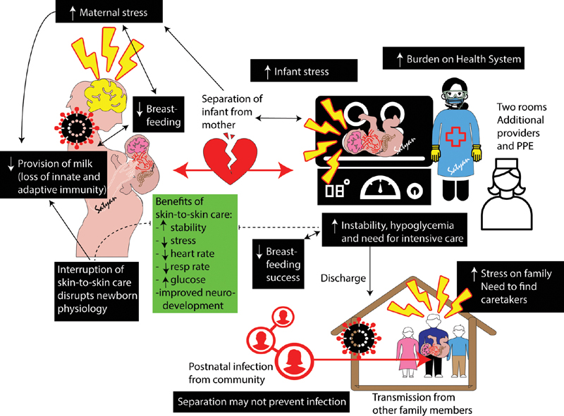 ProtectingBreastfeedingduringtheCOVID-19Pandemic-990000079e04513c.jpg