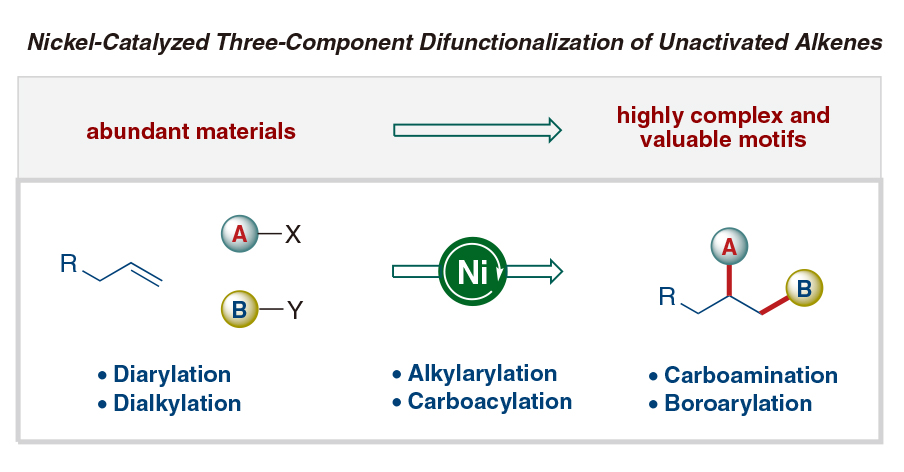 Synthesis-1.jpg