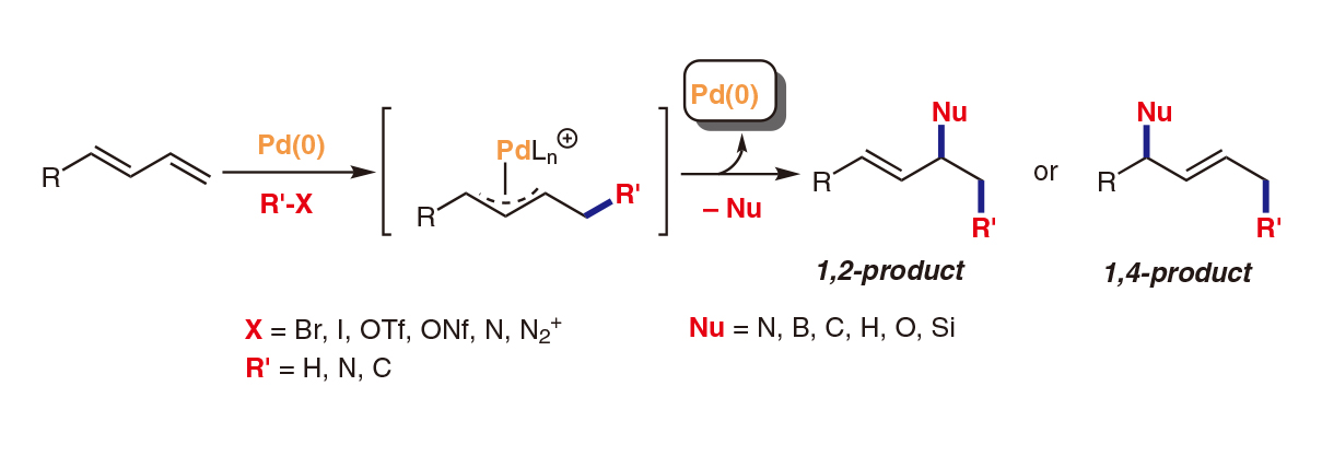 Palladium(0)-Catalyzed-1.jpg