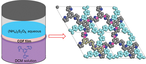 Two-Dimensional Conjugated Covalent.jpg