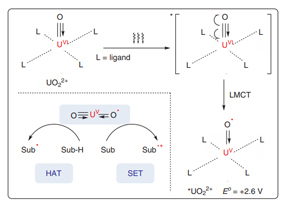 Perspectives for Uranyl Photoredox Catalysis.jpg