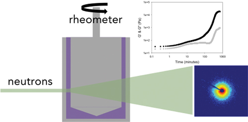 Using Rheo-Small-Angle.jpg