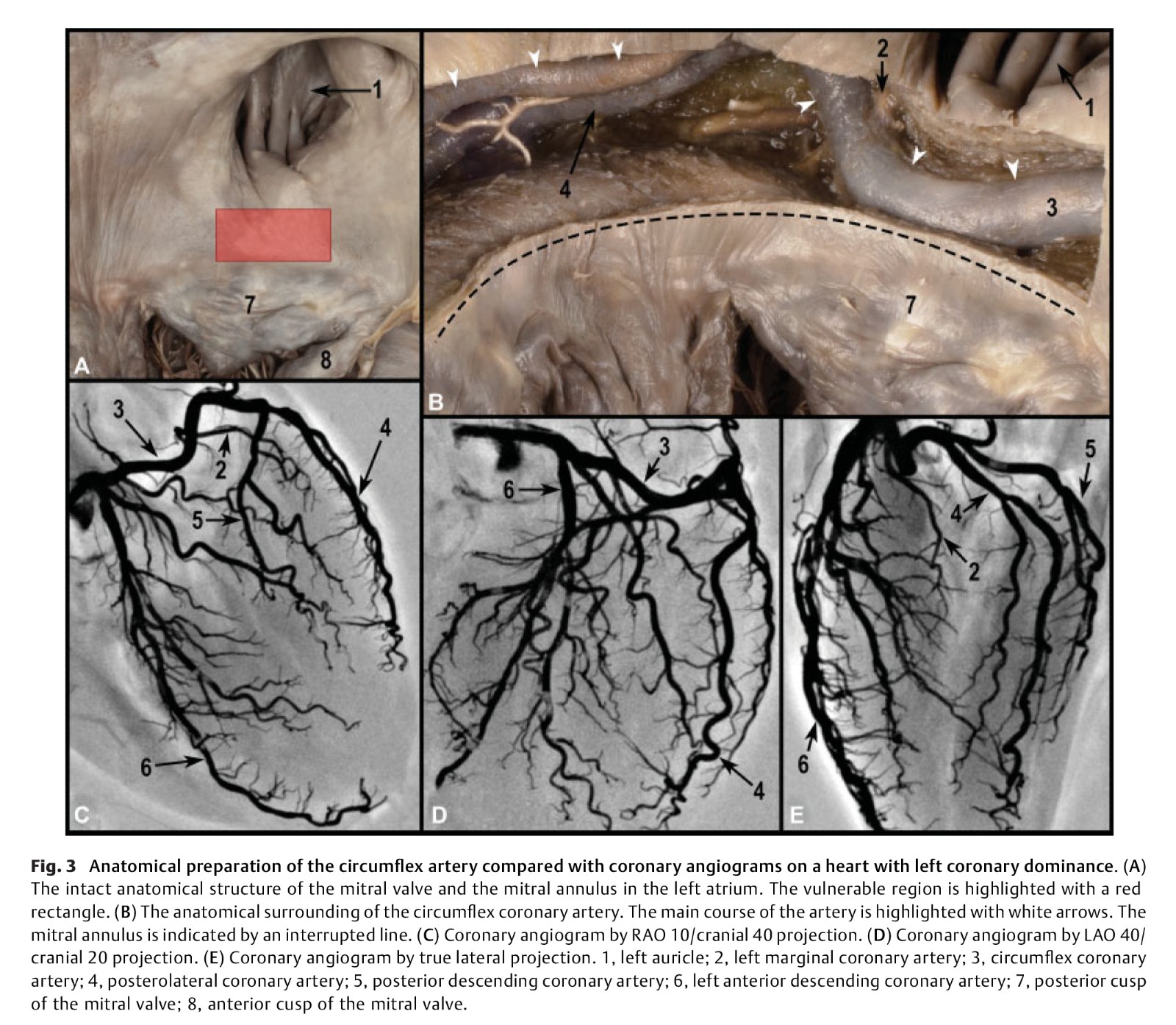 s-0040-1715181-5.jpg