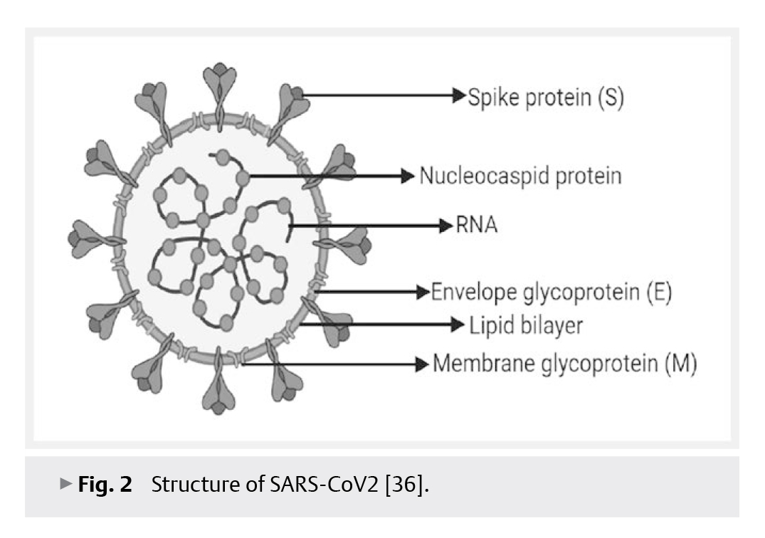 Phytoconstituents.jpg