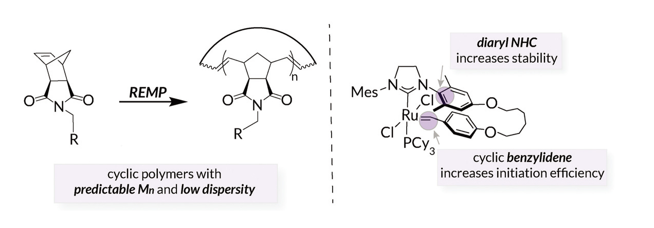 synlett.jpg