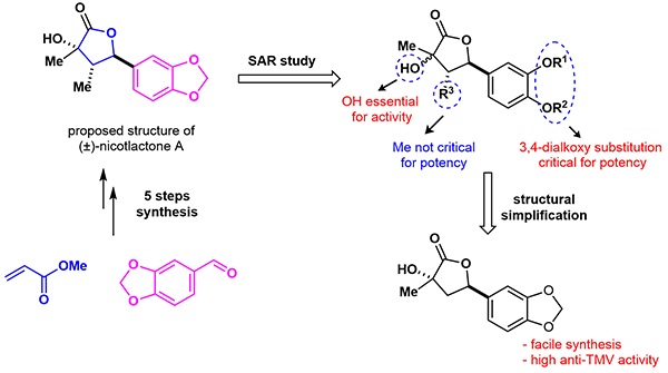 Synthesis and Structure–Activity.jpg