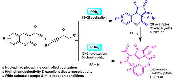 Diversity-Oriented Synthesis.gif