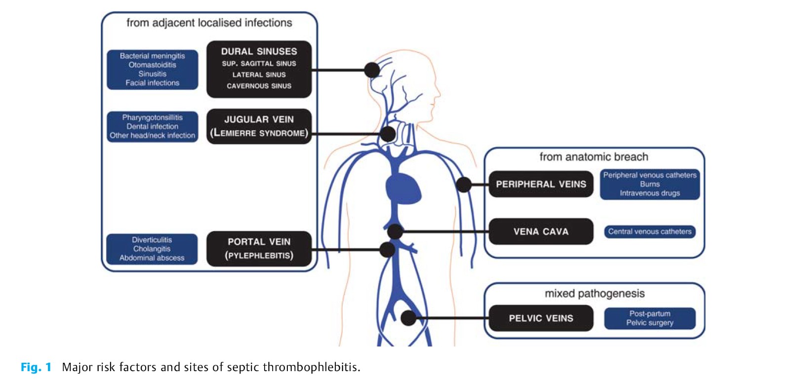 Head, Neck, and Abdominopelvic-2.jpg