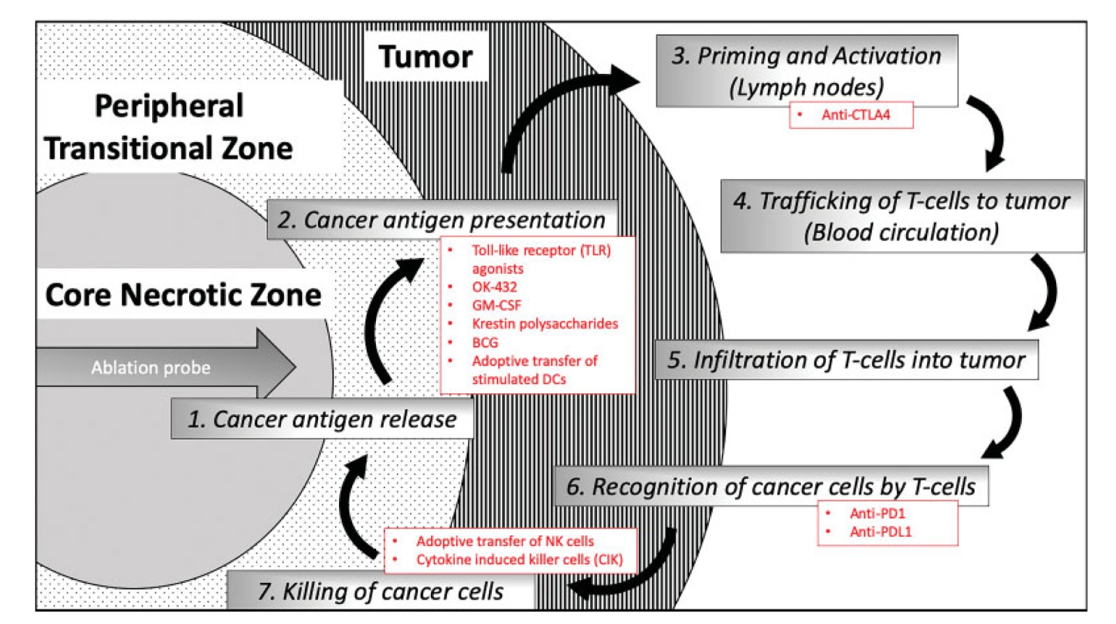 Postablation Immune Microenvironment-2.jpg