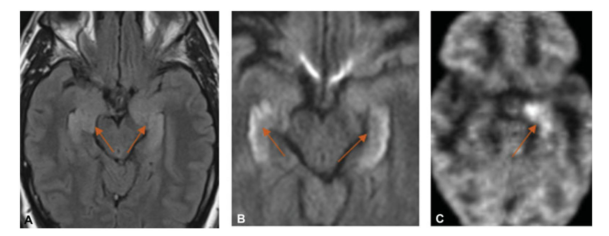 s-0039-1687838-3.jpg
