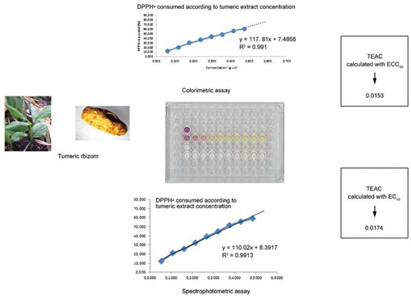 A New Colorimetric DPPH Radical.jpg