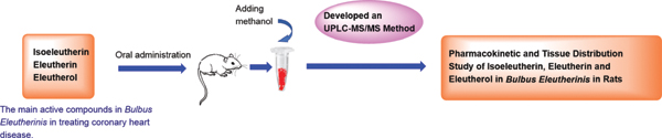 Development of a UPLC.jpg