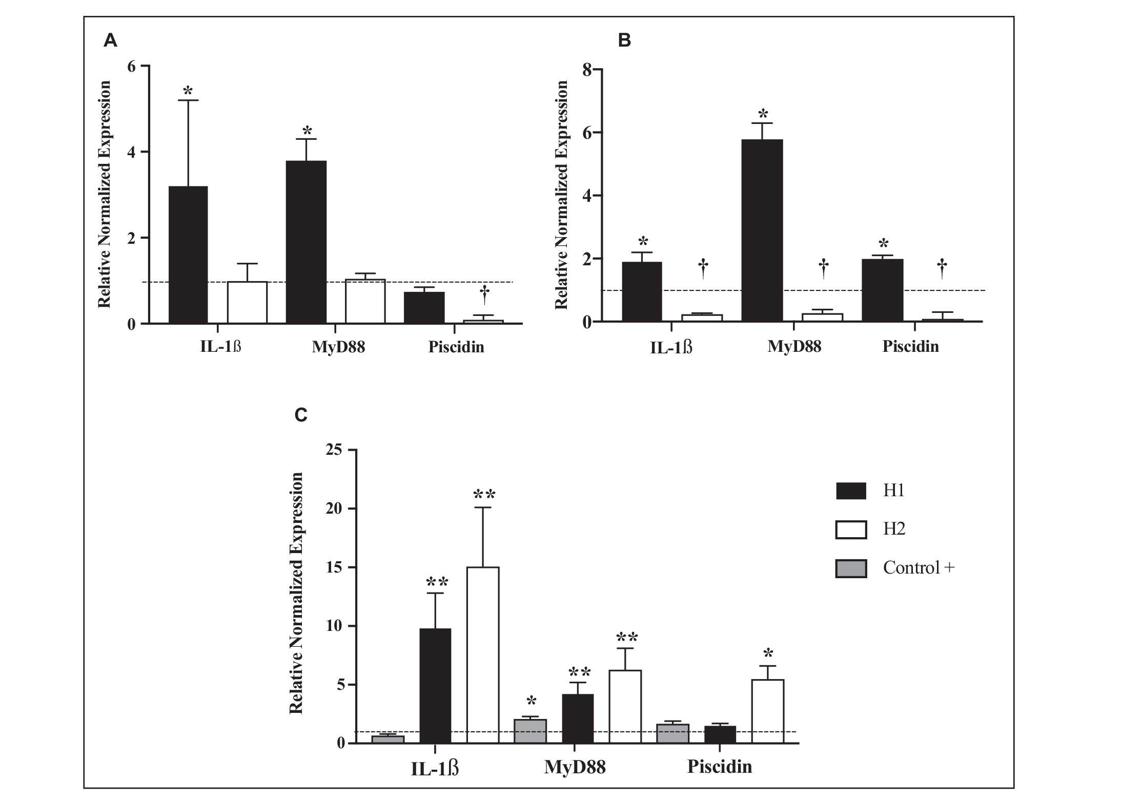 Immune and Antioxidant-5.jpg