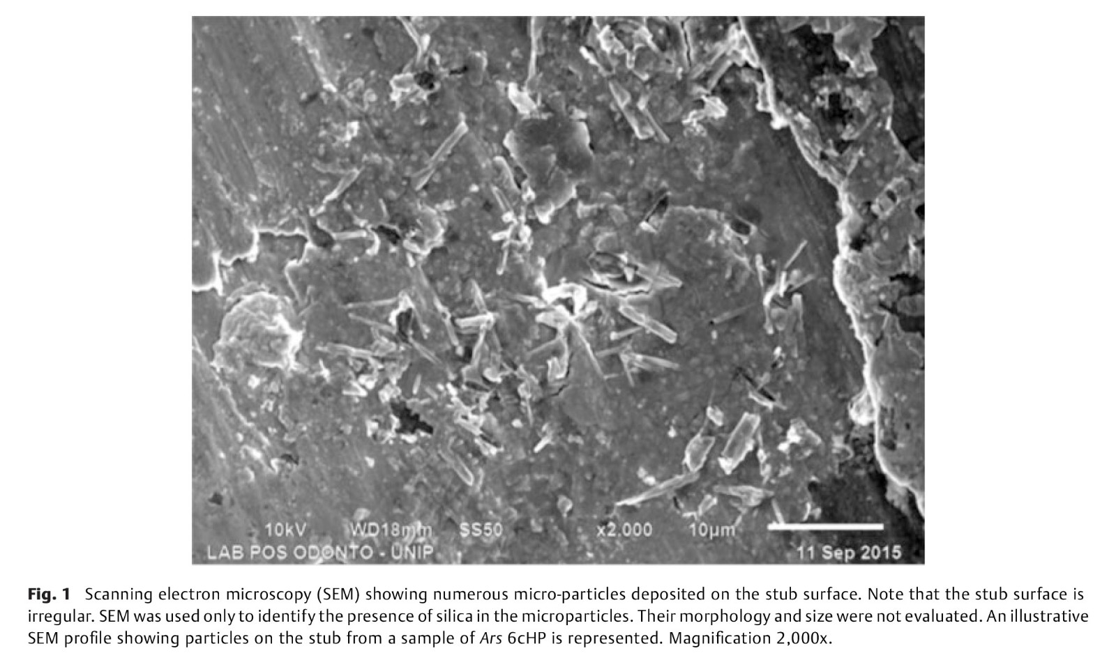 Biological Actions-4.jpg