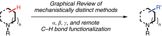 C–H Bond Functionalization.gif