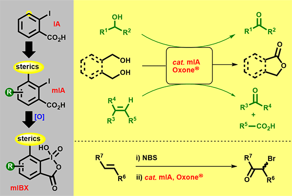 Catalytic Oxidations.gif
