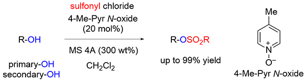 Amine-Free O-Sulfonylation.gif