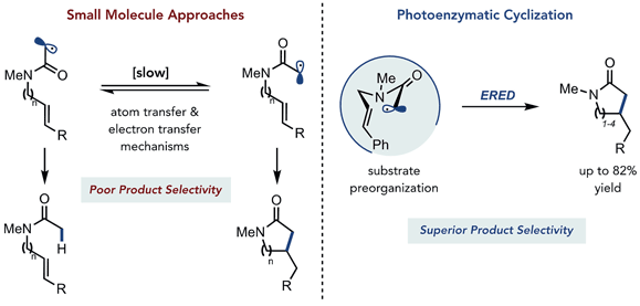 A Photoenzyme for Challenging.gif