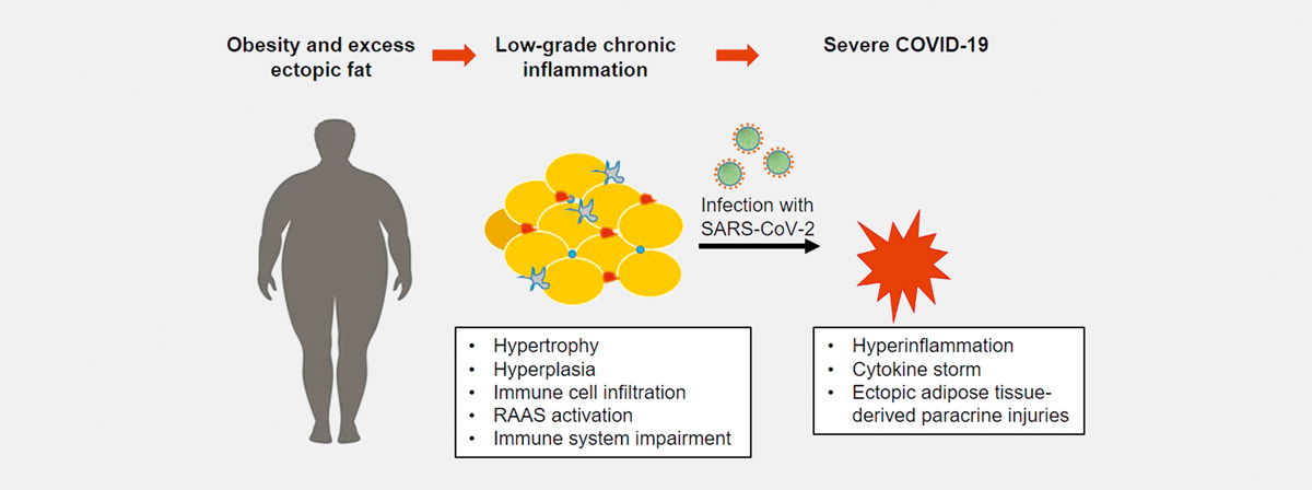 Obesity and COVID-19.jpg