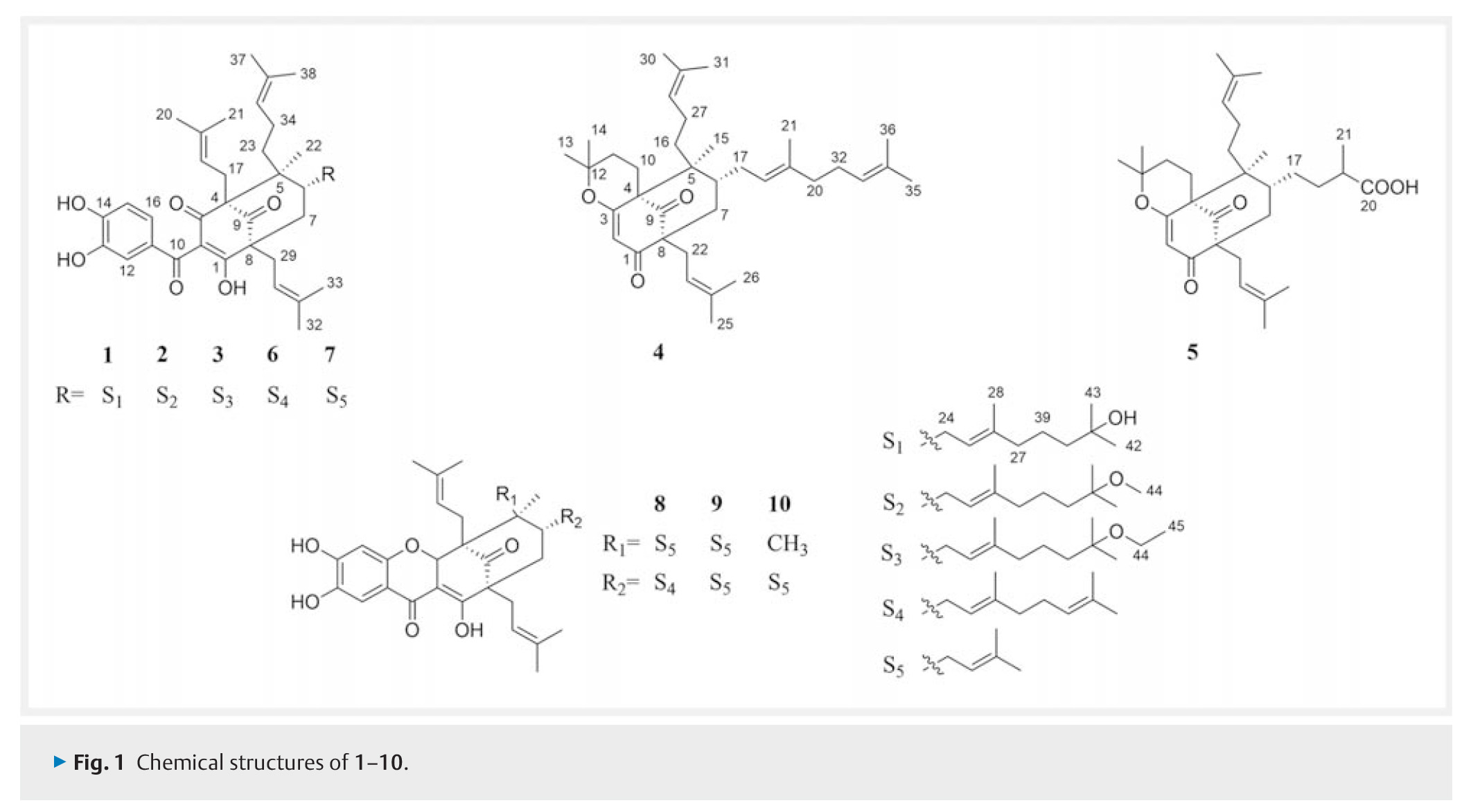 Cytotoxic Polyprenylated Benzoylphloroglucinol-2.jpg