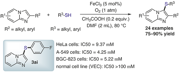 Aerobic Iron.gif